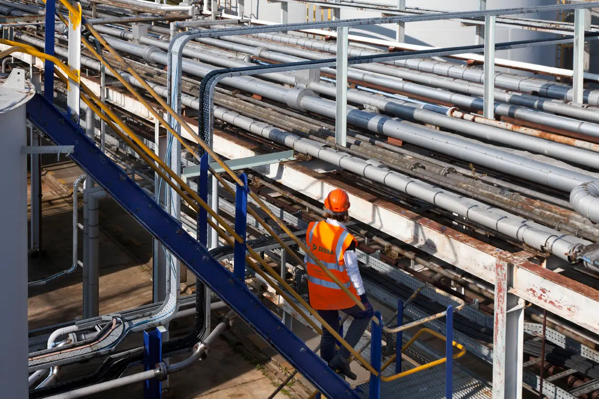 Renovación IsmATEX 2EM Renovación IsmATEX 2EM