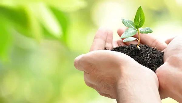 huella de carbono hidrogeno dekra huella de carbono hidrogeno dekra