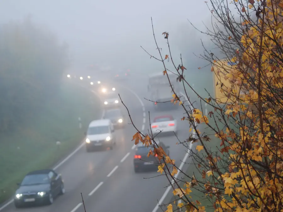 Cómo conducir con niebla