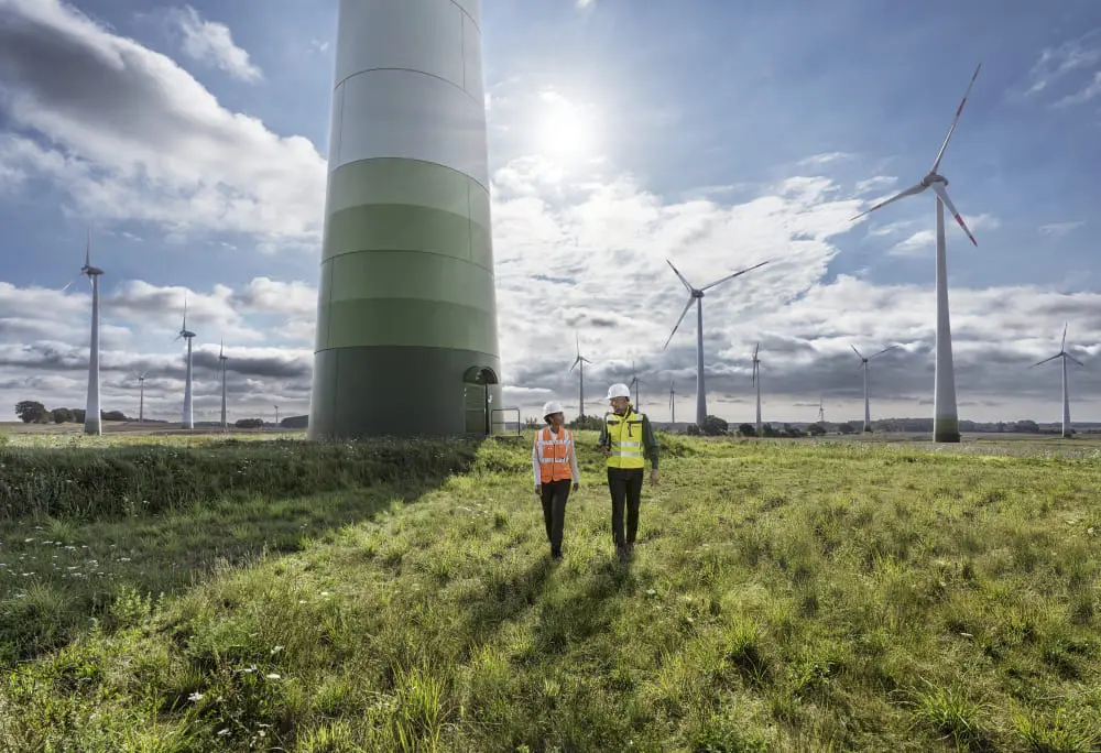 Servicios Eólico Onshore
