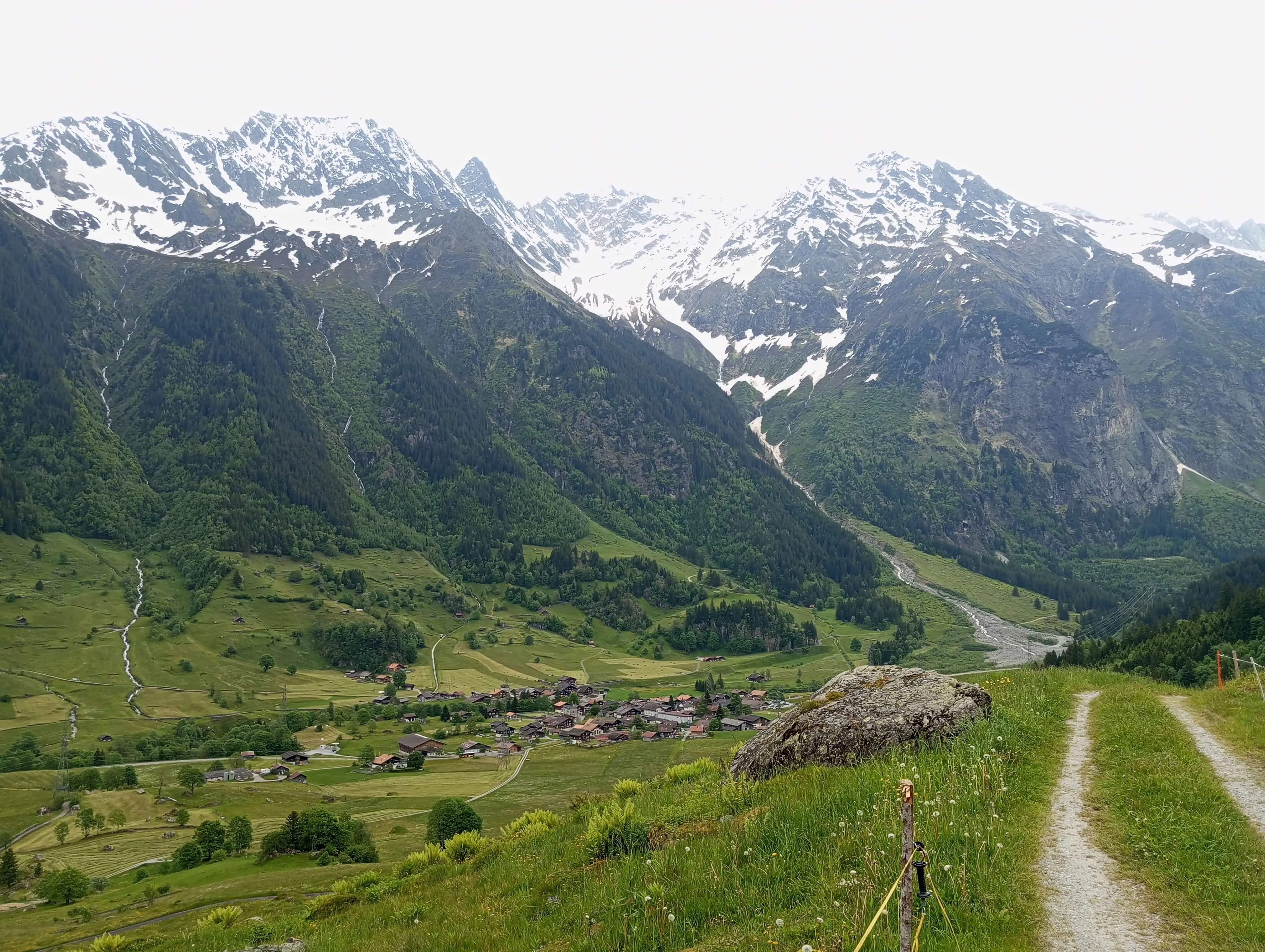 Día Internacional de los bosques