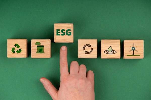 Servicios ESG para empresas