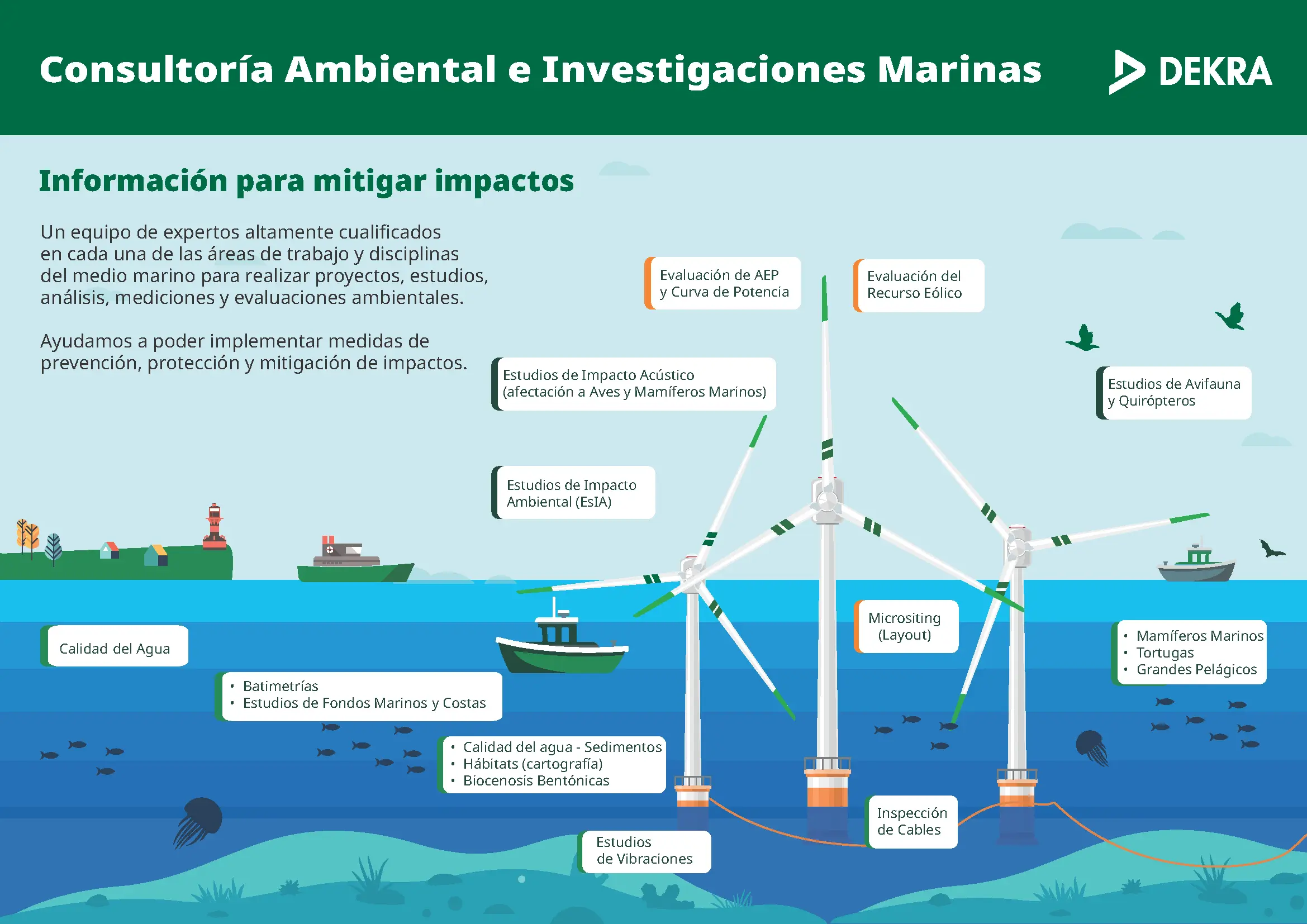 Infografía Consultoría Ambiental e investigaciones Marinas