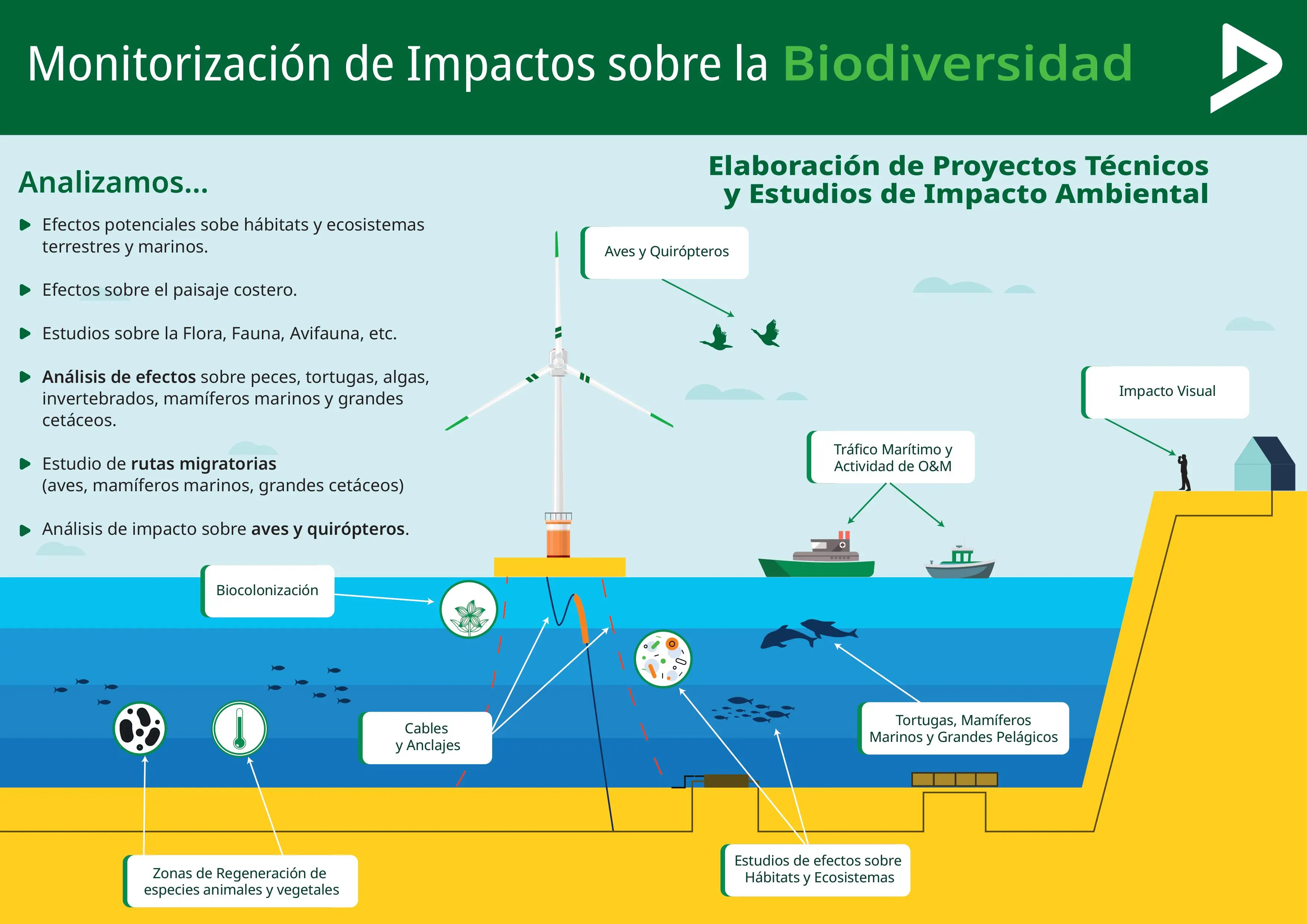 DEKRA infografía eolico marino 