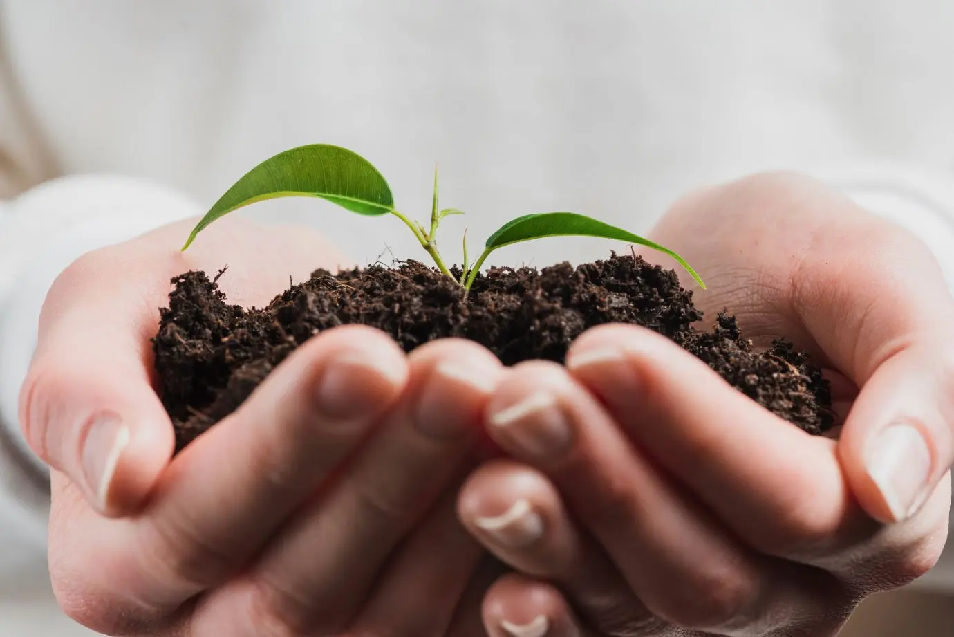 Certificación ISCC Certificación ISCC