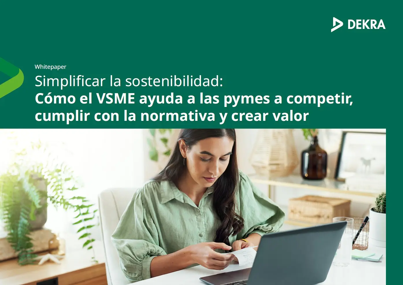 Whitepaper VSME