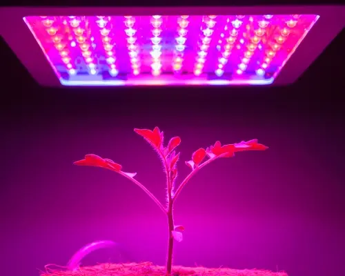 luminaire is hung up