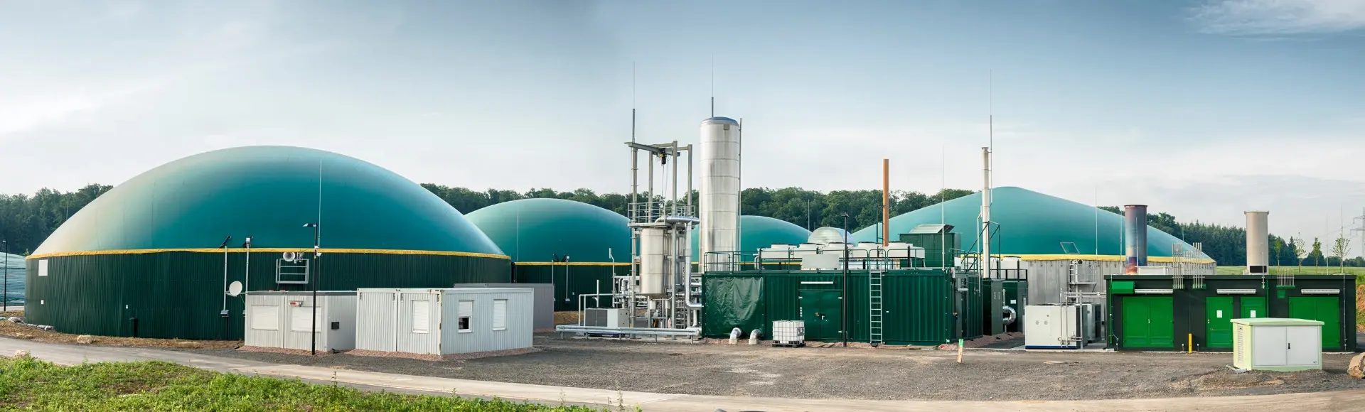 Biomass storage facilities