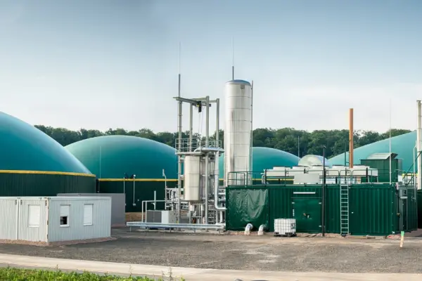 Biomass storage facilities