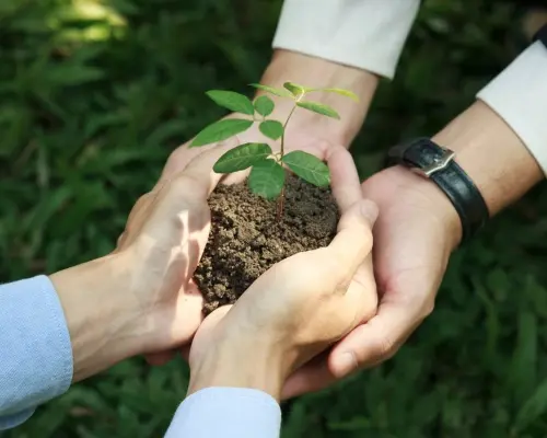 circulair ondernemen