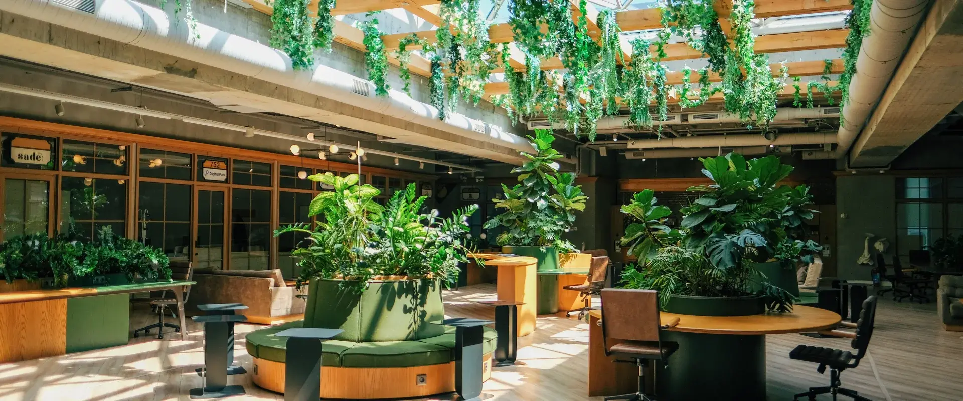 sutainability standards