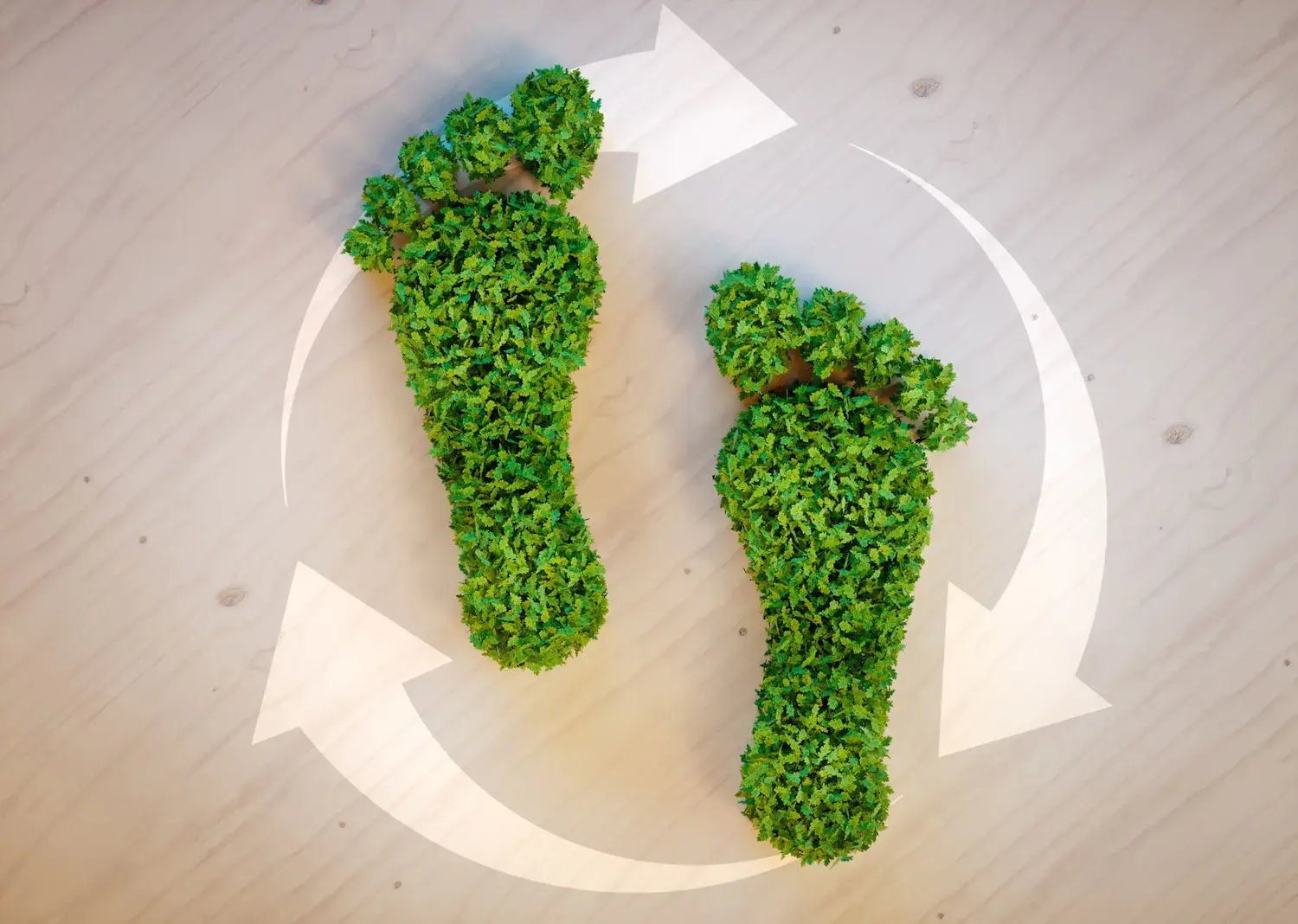 Ecological Footprint