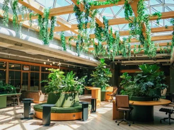 Kantoor met veel groene planten Kantoor met veel groene planten