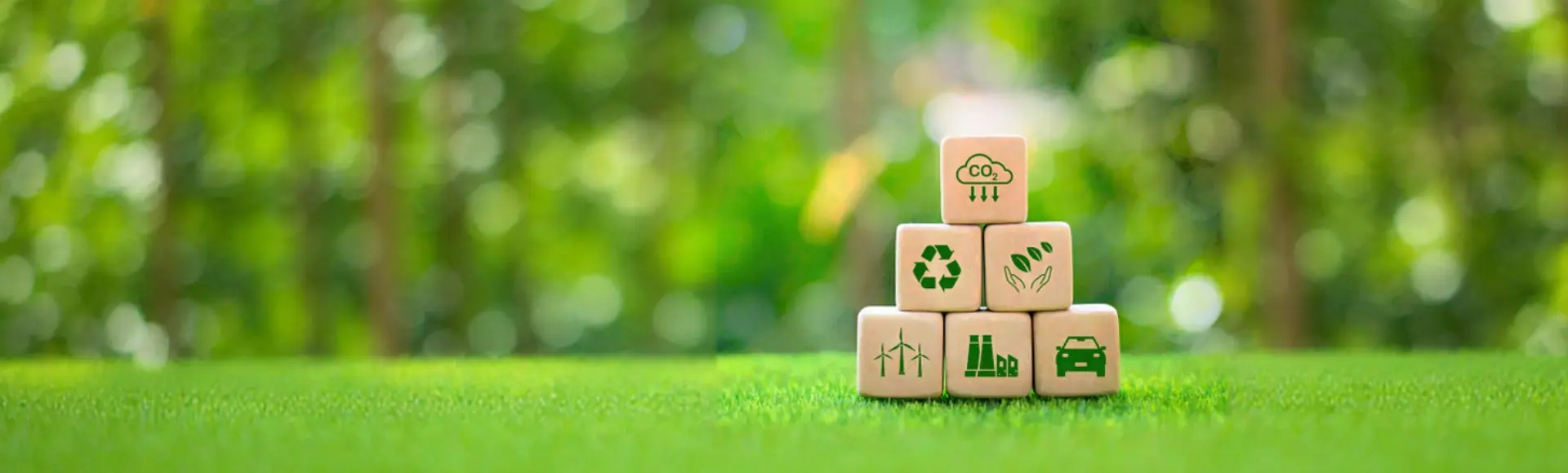 EU ETS2 sustainability blocks stacked in a green forest.