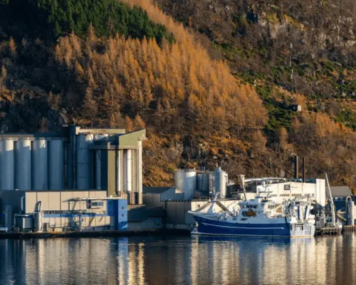 Fabriek langs een meer met een haven