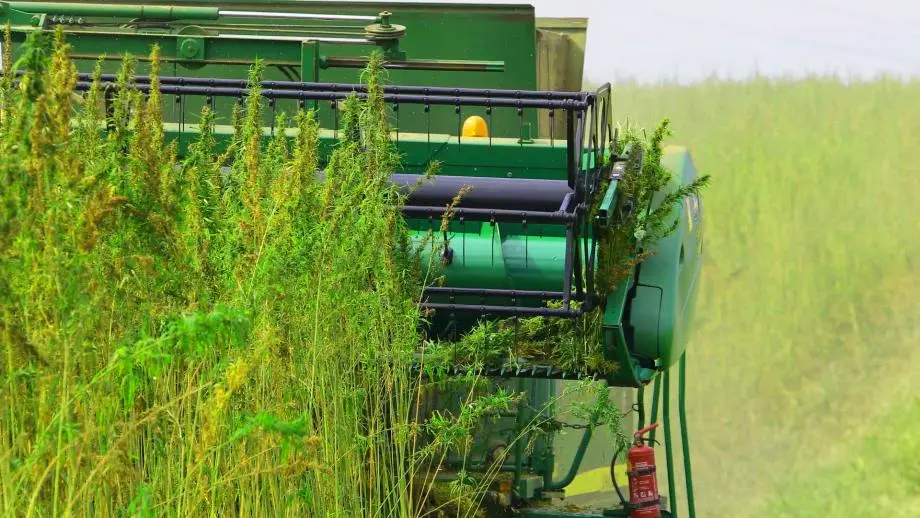 customercase-hempflax-dekra