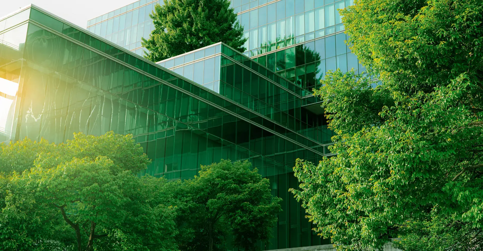 Sustainable office building with green trees