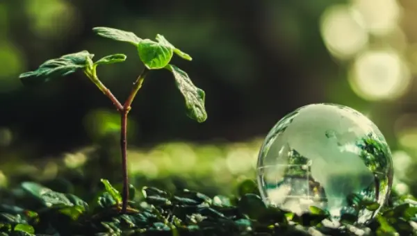 Groen plantje op groene grond naast een waterdruppel als wereldbol Groen plantje op groene grond naast een waterdruppel als wereldbol