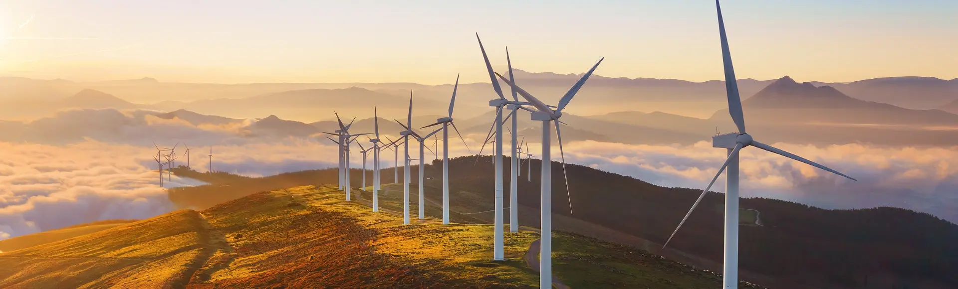 Wind mills on a hill
