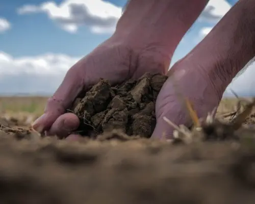 DEKRA Netherlands sustainability strategy