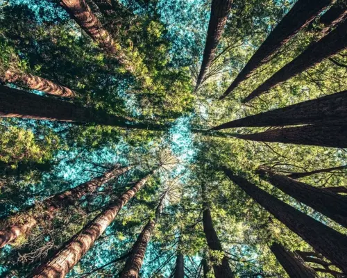 Milieu & Klimaat Milieu & Klimaat