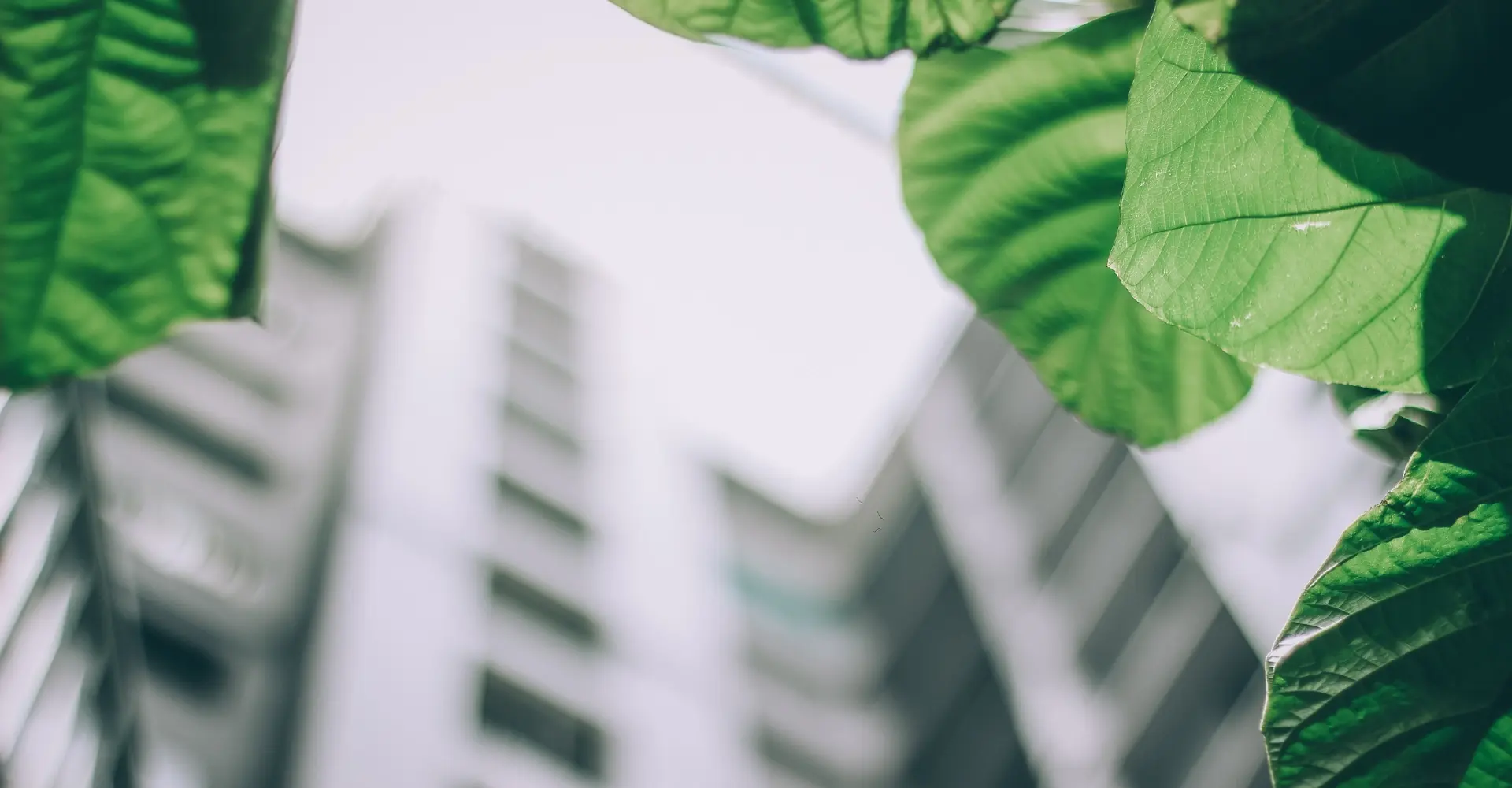 Management systems certification