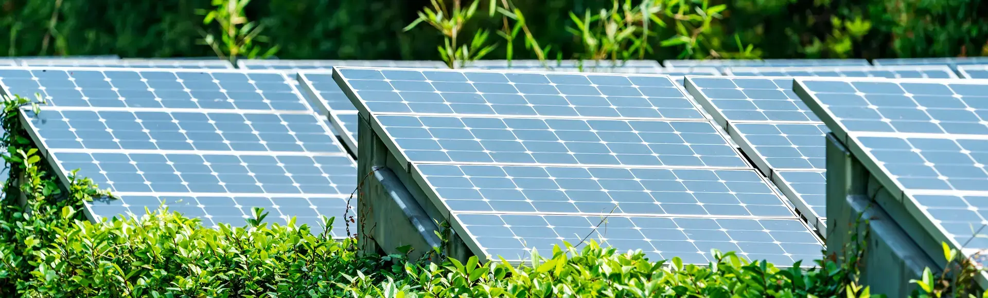 Sustainability certification audits