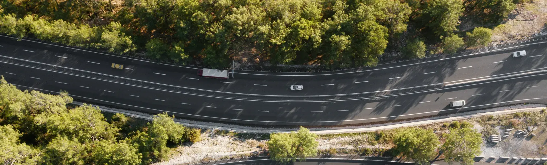 Highway trough a green forest