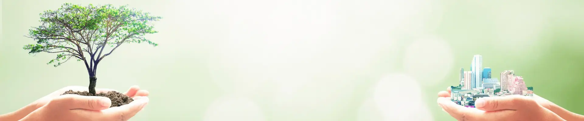 DEKRA sustainability strategy and goals