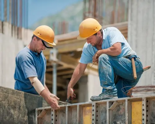 VCA checklist VCA checklist