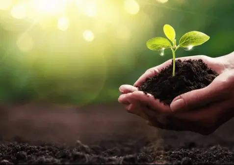 business meeting certification