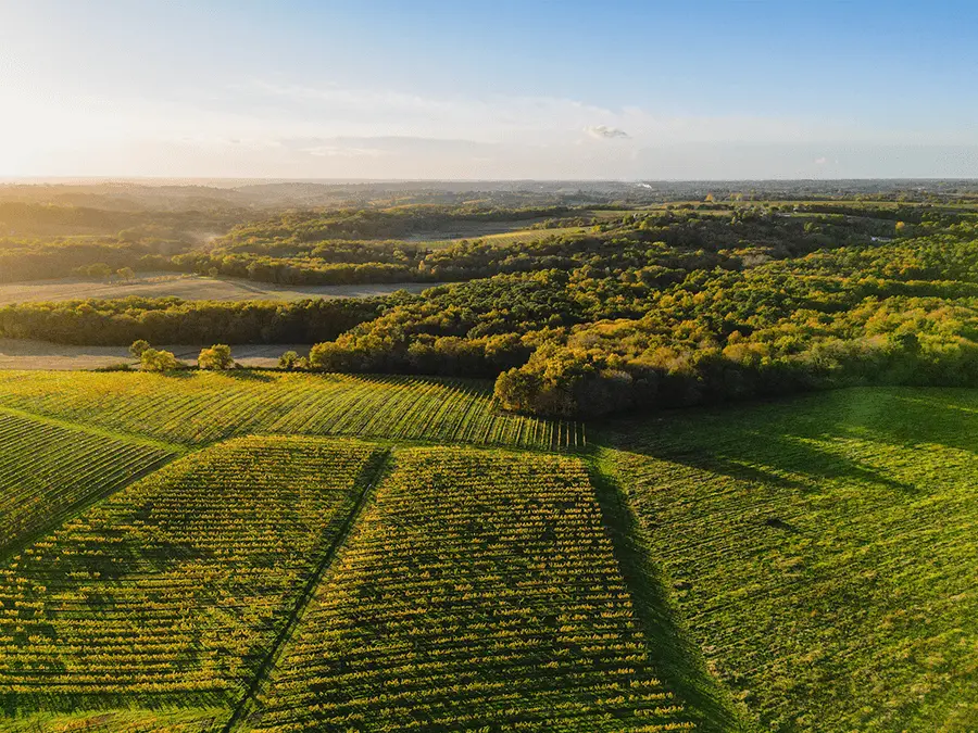 Teren zielony pod zabudowę widziany z lotu ptaka. Symbolizuje badanie środowiska gruntowo-wodnego na potrzeby planowanej inwestycji.
