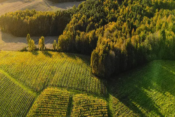 Teren zielony pod zabudowę widziany z lotu ptaka. Symbolizuje badanie środowiska gruntowo-wodnego na potrzeby planowanej inwestycji.