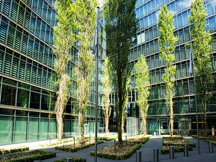 Nowoczesny budynek biurowy z zielenią w przestrzeni wewnętrznego dziedzińca, wpisujący się w standardy zrównoważonego budownictwa LEED. 