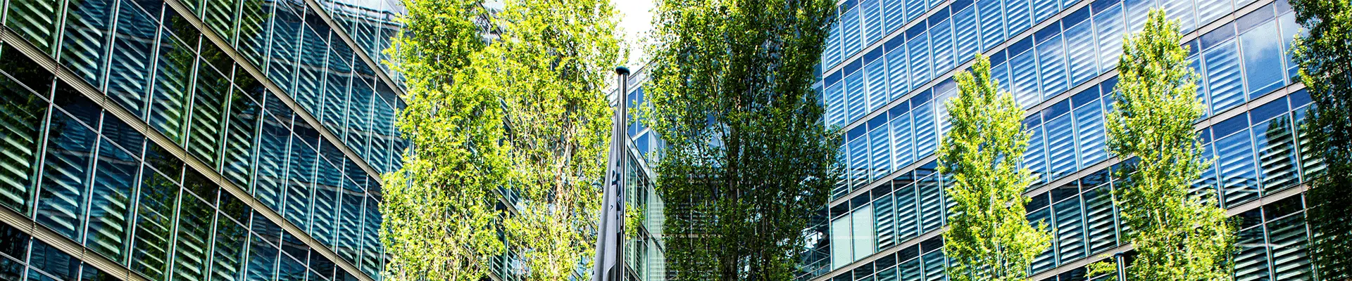 Dziedziniec biurowy z zielenią pomiędzy przeszklonymi elewacjami. Certyfikacja LEED budynku.