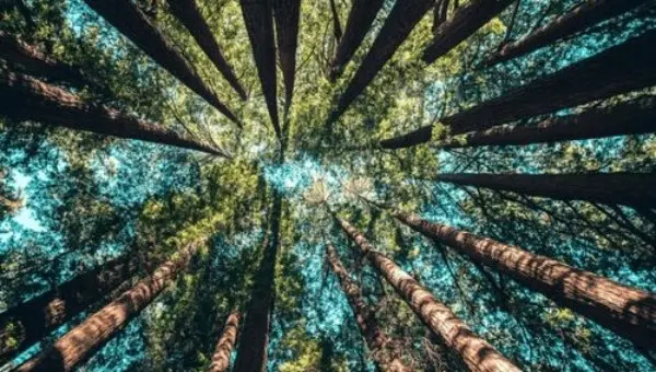 Klimat i środowisko