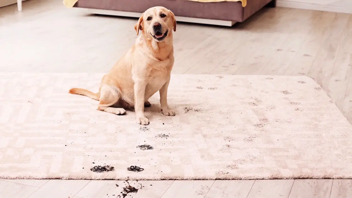 Obsługa roszczeń z odpowiedzialności wszelkiego rodzaju