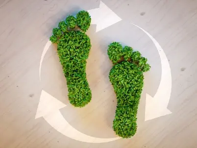 Product Life Cycle and Carbon Footprint Assessment