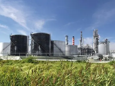 Environmental Due Diligence