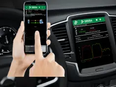 フィールド試験