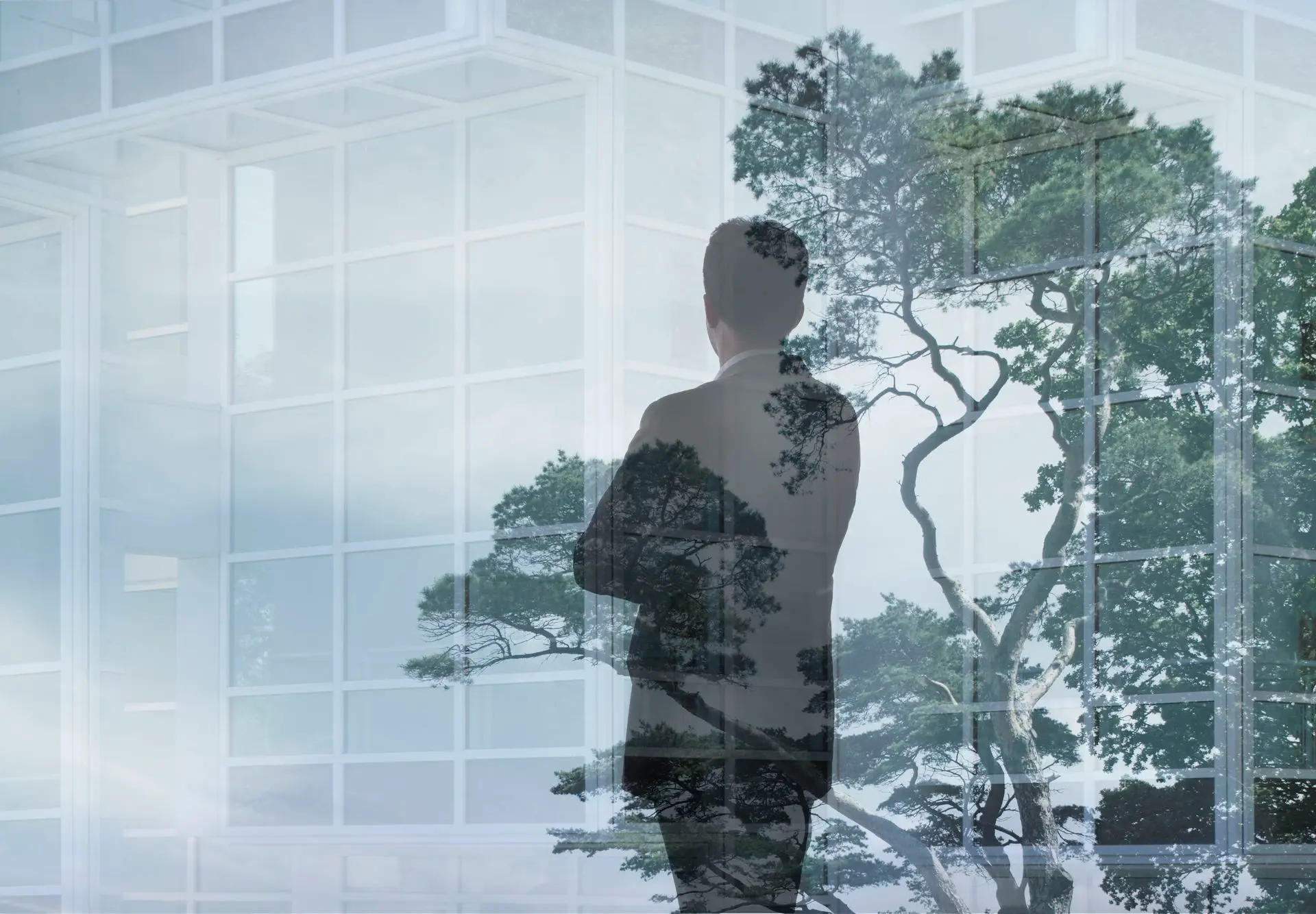 Estrategia y objetivos de sostenibilidad