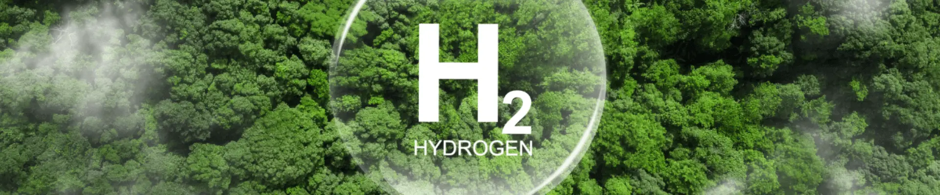 green natur background with H2 symbol in the middle