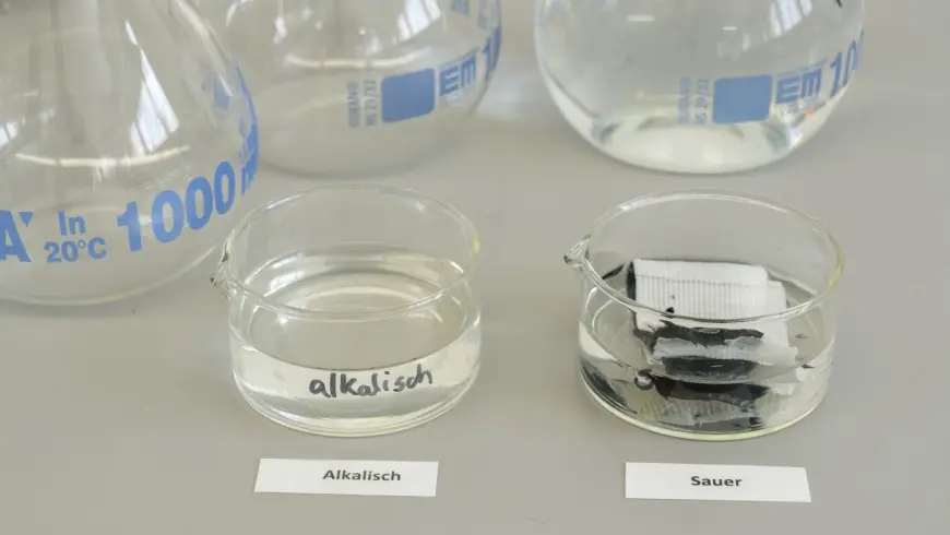 ... and are placed in solutions with either an alkaline or an acidic pH value