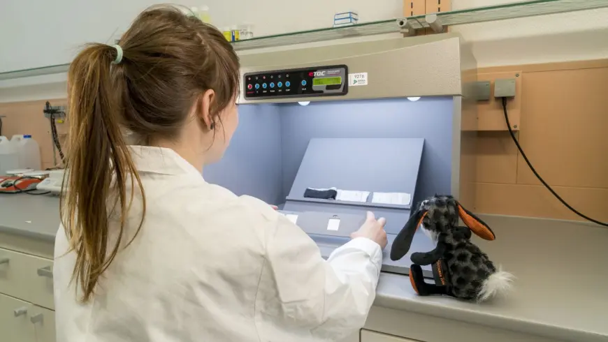  Alexandra Kirchner, DEKRA Laboratory in Halle, examines the test strips under a daylight lamp