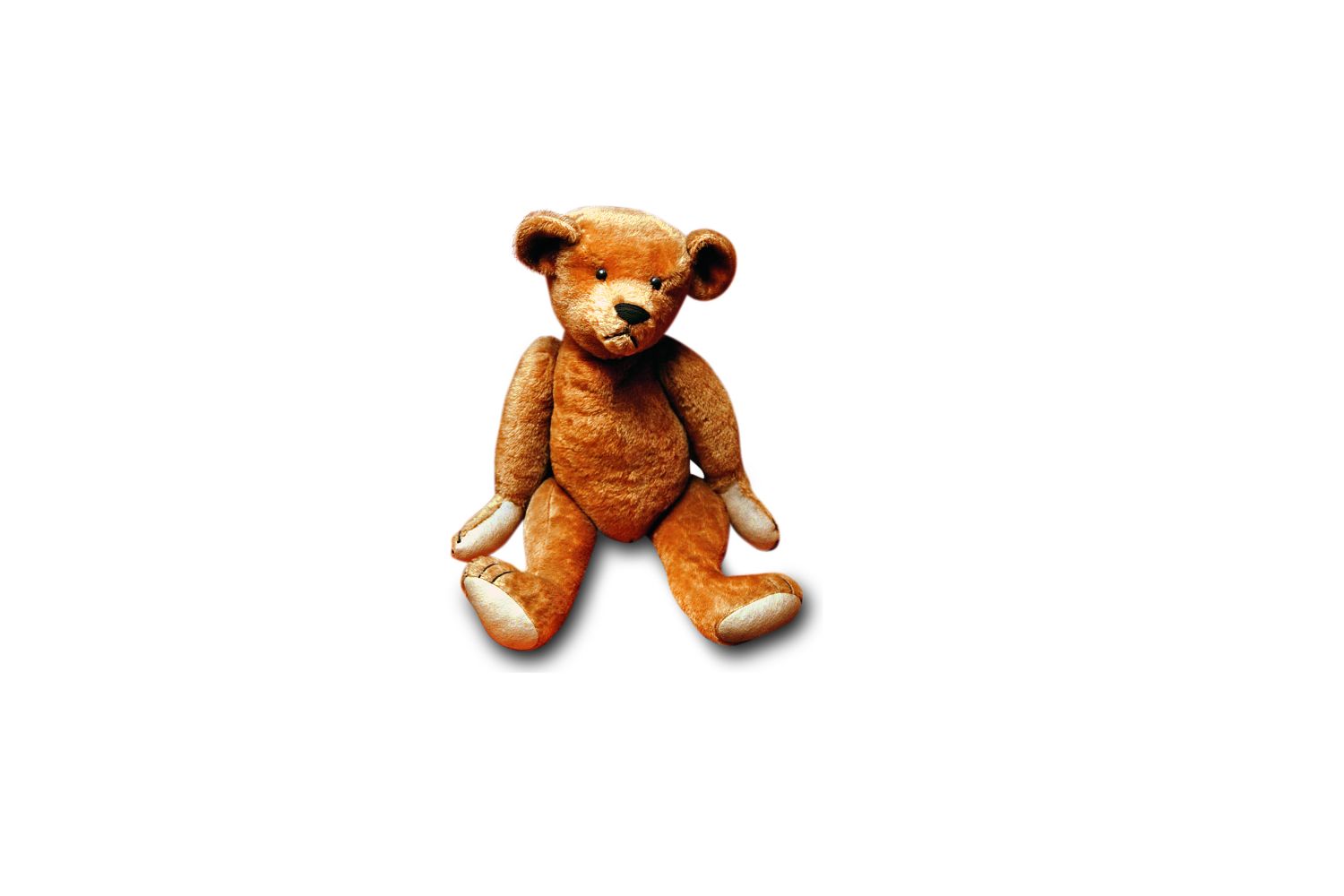 1902: Teddybär – Plüschfigur von Richard Steiff (DE)