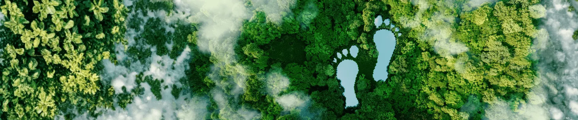 two lakes which look like footprints in the forest