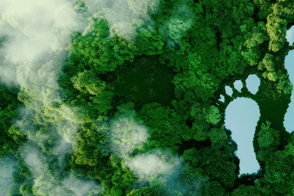 two lakes which look like footprints in the forest two lakes which look like footprints in the forest