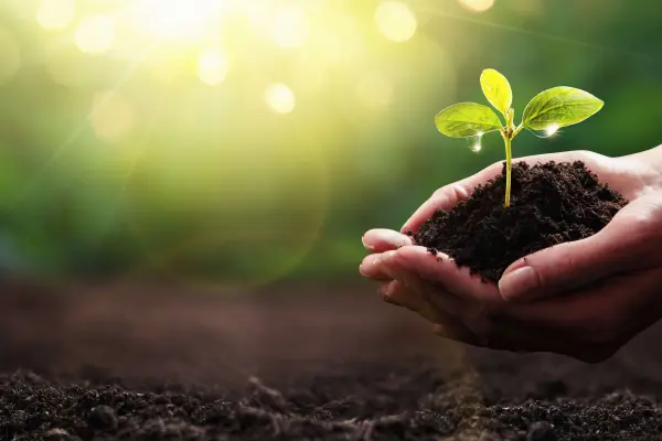 DEKRA Sustainability