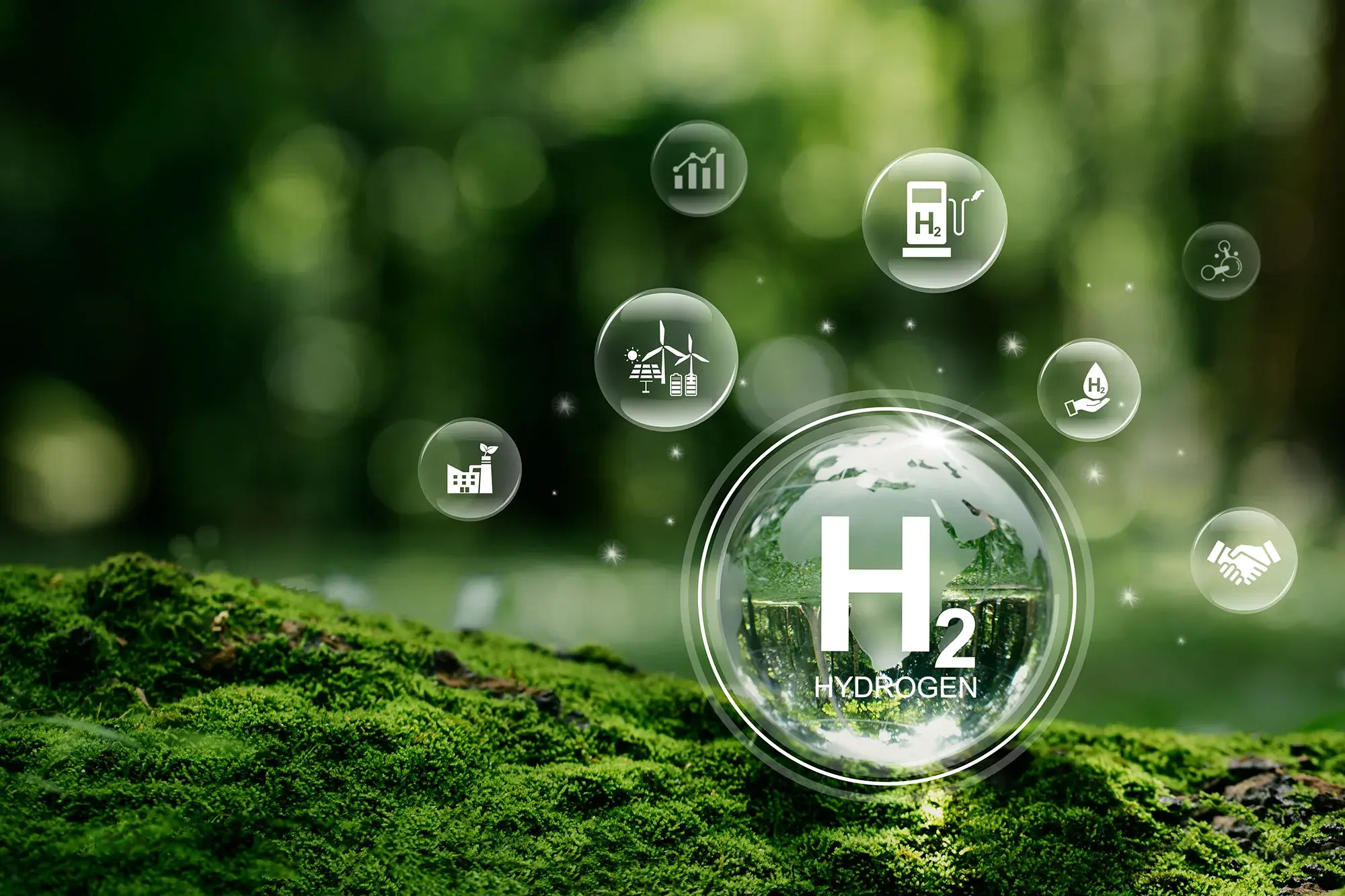 Hydrogen Economy