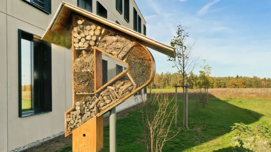 Das DEKRA Congresshotel bietet auch ein Insektenhotel. Foto: DEKRA